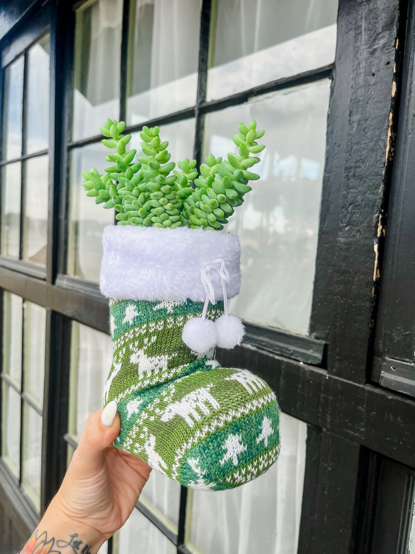 Donkey Tail Succulent Christmas Stocking