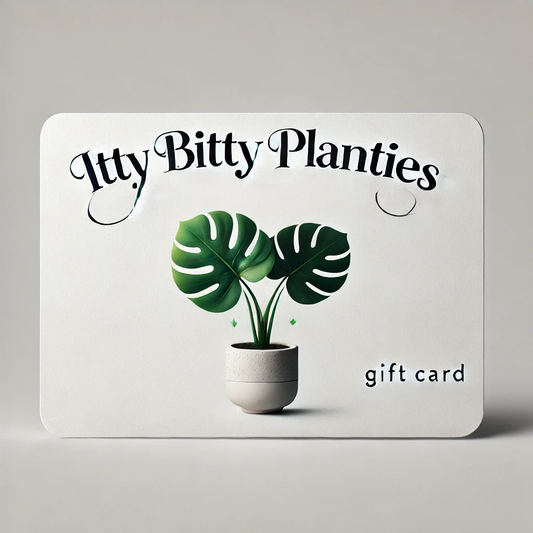 Itty Bitty Planties Gift Card